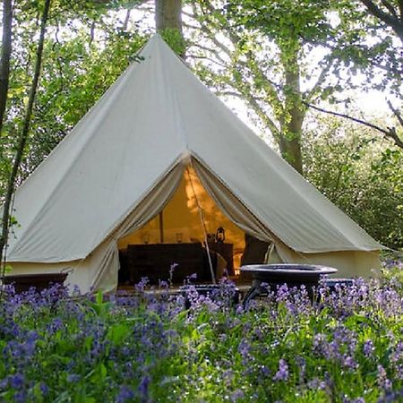 Oak Tree Farm Otel Llanfynydd Dış mekan fotoğraf