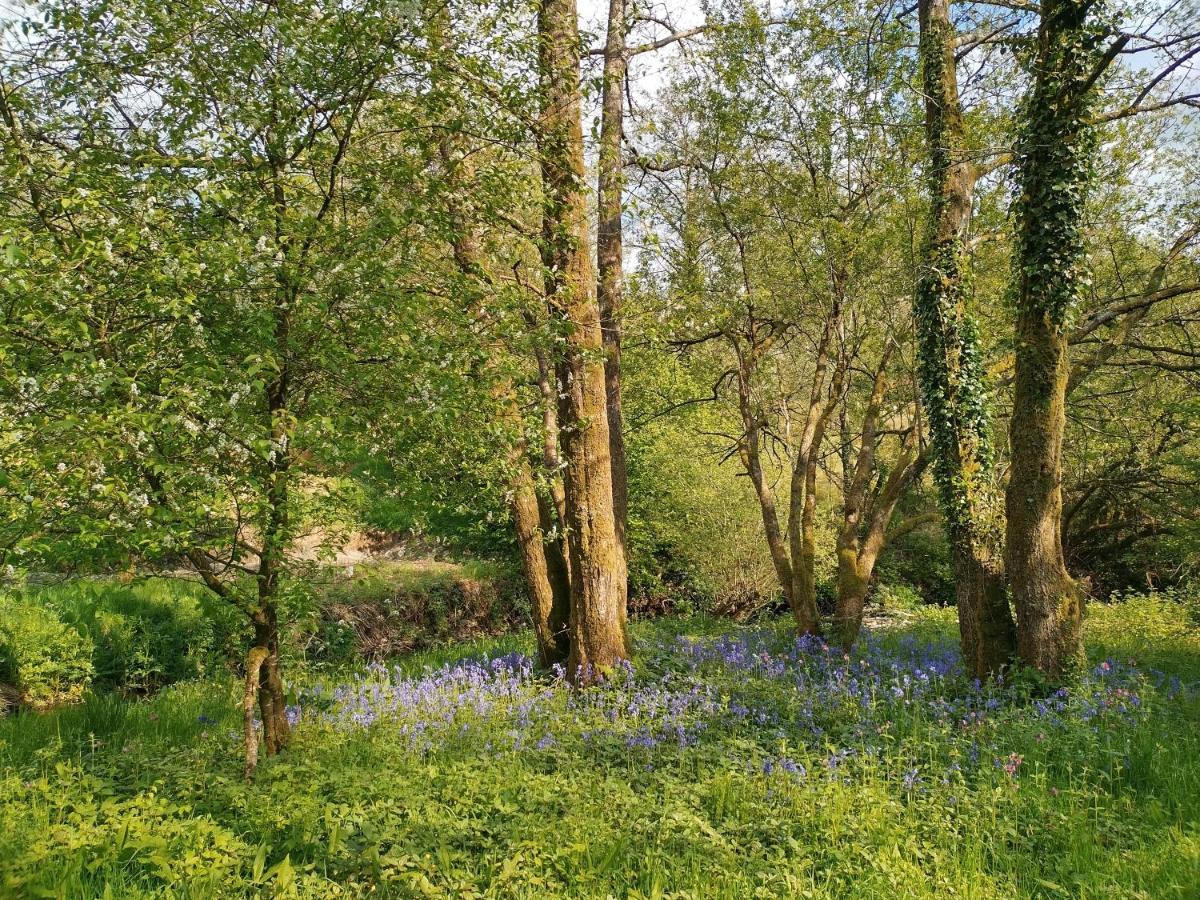 Oak Tree Farm Otel Llanfynydd Dış mekan fotoğraf