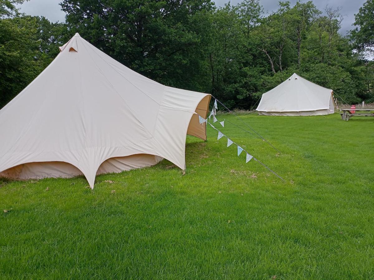 Oak Tree Farm Otel Llanfynydd Dış mekan fotoğraf
