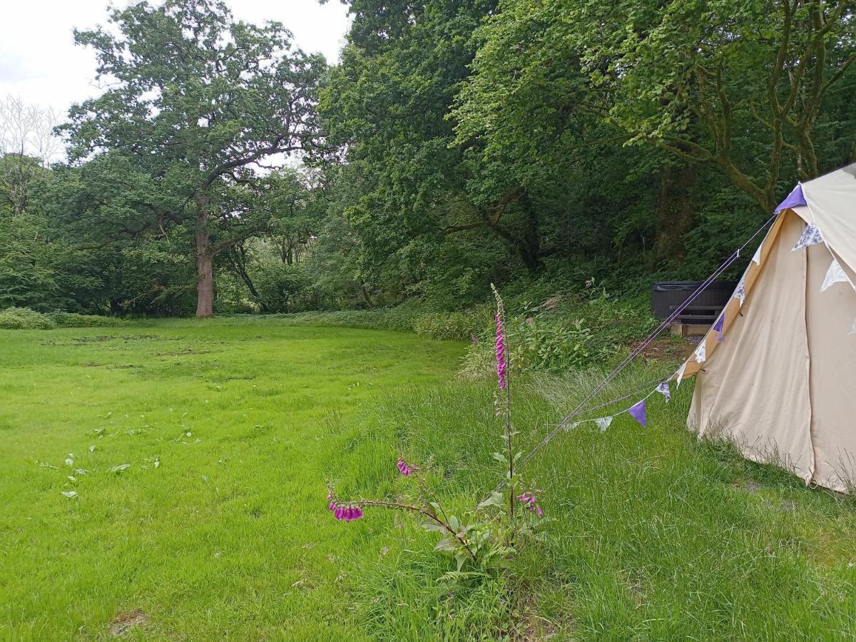 Oak Tree Farm Otel Llanfynydd Dış mekan fotoğraf