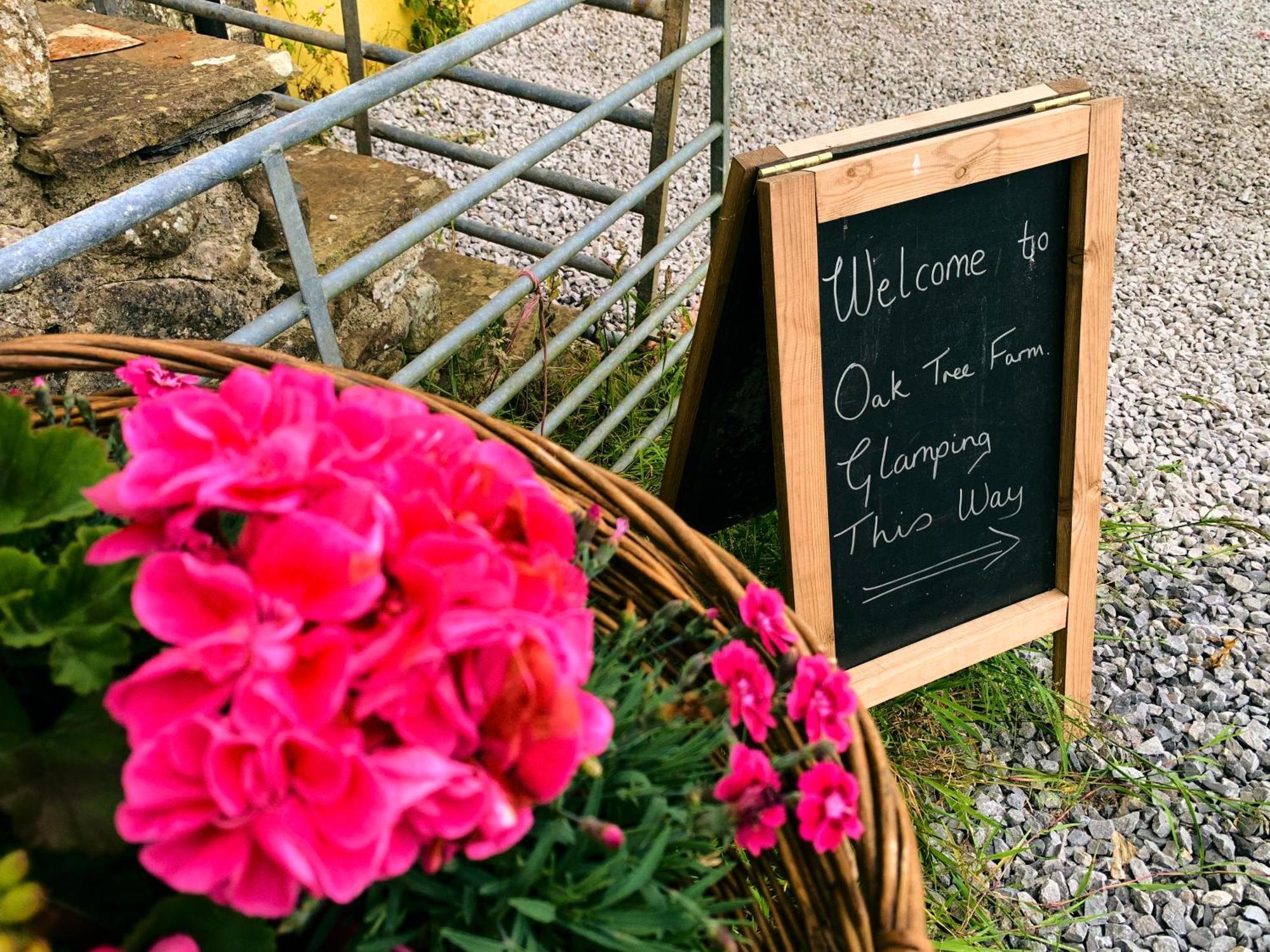 Oak Tree Farm Otel Llanfynydd Dış mekan fotoğraf