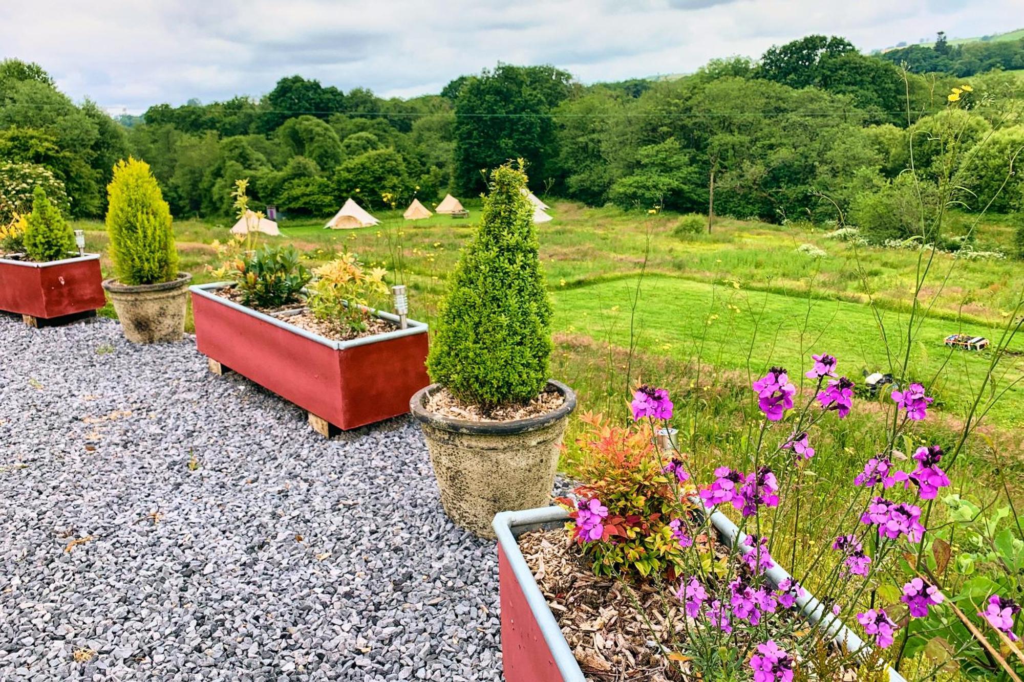 Oak Tree Farm Otel Llanfynydd Dış mekan fotoğraf